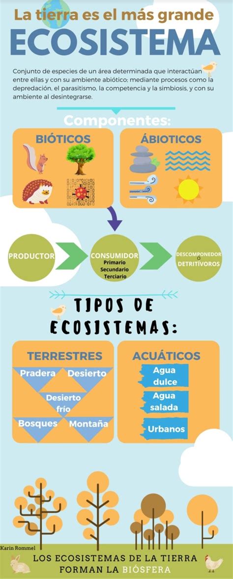 Infografía De La Composición De Un Ecosistema Ecosistemas Trucos