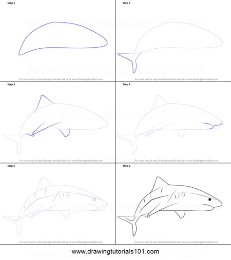 See full list on wikihow.com How to Draw a Tiger Shark printable step by step drawing ...
