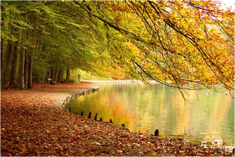 stimmungsvolle Herbstfarben Foto & Bild | jahreszeiten ...