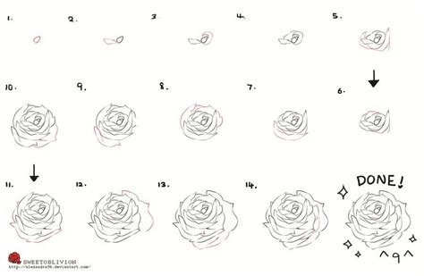 Sketch Of A Rose Step By Step How To Sketch It