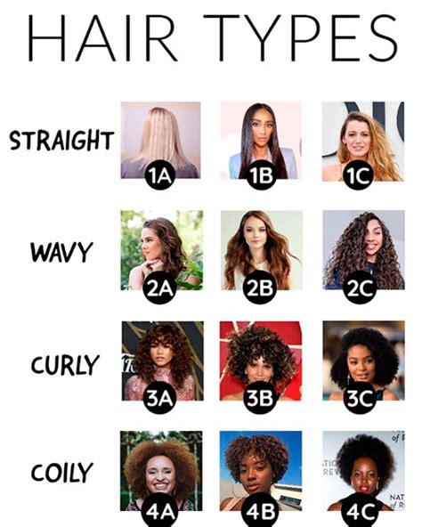 Free Straight Hair Type Chart Illustrator Pdf Vlrengbr