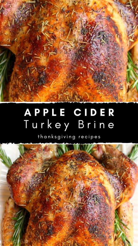 Apple Cider Turkey Brine | Turkey brine recipes, Turkey ...