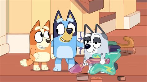 Bluey Abc Iview