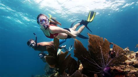 Floridas Upper Keys Great Scuba Diving And Eco Friendly Tours