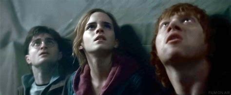 Harry Hermione Ron In Harry Potter And The Deathly Hallows Part 2