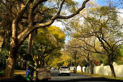 Around The Neighborhoods Of Johannesburg Exploring Africa