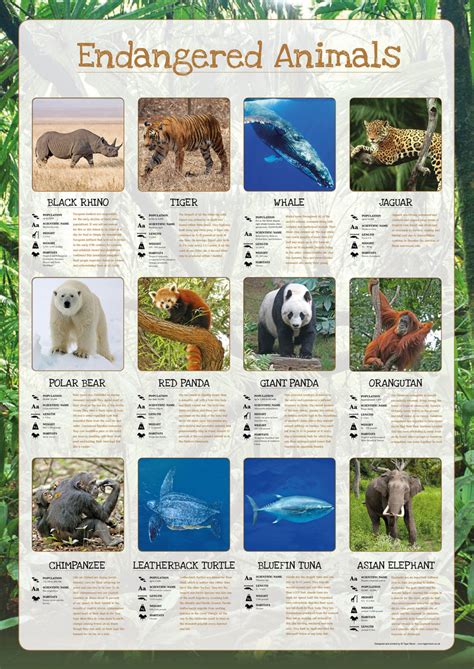 Endangered Animals Poster Tiger Moon