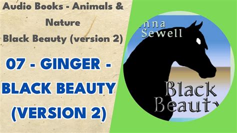 07 Ginger Black Beauty Version 2 Black Beauty Version 2 Youtube