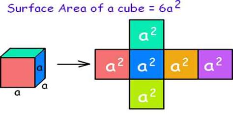 Calculate The Surface Area Of A Cube Assignment Point