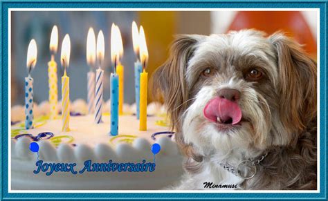 Découvrez les cartes pour adultes, pour enfant, pour anniversaire en retard, anniversaire personnalisé avec prénom et photo. image carte anniversaire avec chien