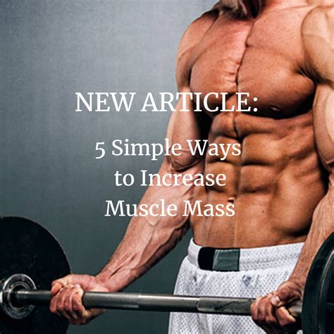 5 Simple Ways To Increase Muscle Mass How To Increase Muscle Corpus