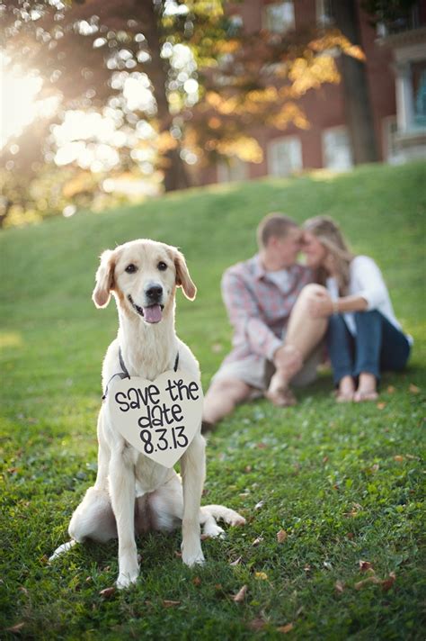 Save The Date ~ Funny Dog Quote