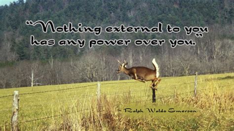 Quotes About Hunting Deer Quotesgram