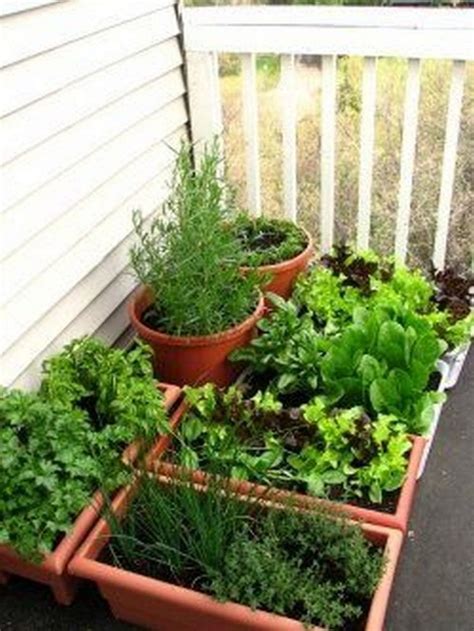 Balcony Garden Ideas Vegetables Image To U