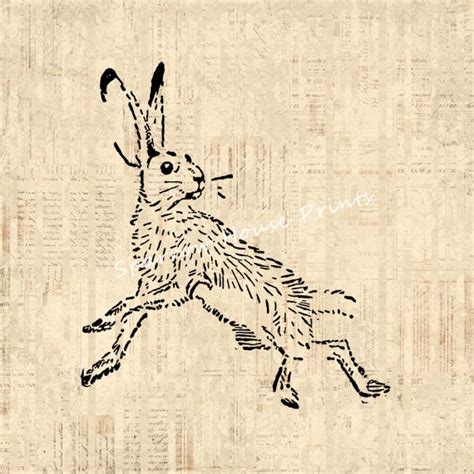 Wild Hare Print Vintage Artwork Rabbit Bunny By Sparrowhouseprints