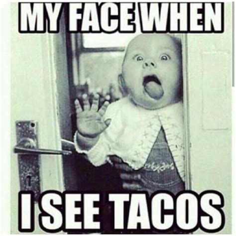 Pin By Hyacinth Palmer On Taco Love Funny Taco Memes Taco Humor