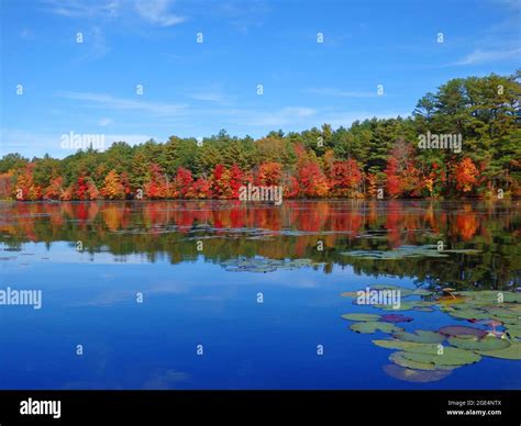 Fall Trees And Their Reflection On Lake Hi Res Stock Photography And