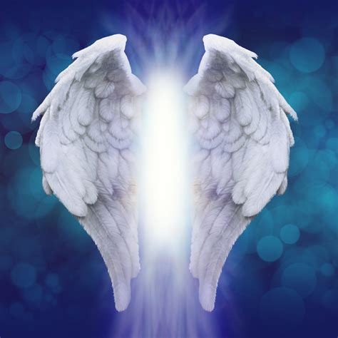 Angelic Wings Scent In 2020 Angel Wings Background Wings Angel Posters