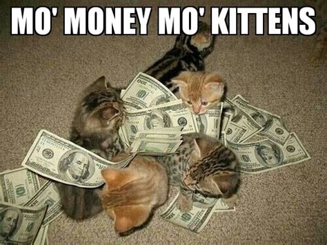 Mo Money Mo Kittens Memes And Comics