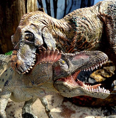 Dinosaur Diorama Featuring Custom T Rex And Papo Acrocanthosaurus By Paleo Paul Animais Pré
