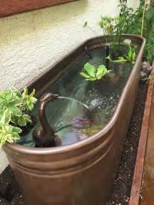 Galvanized Water Trough Pond Fish