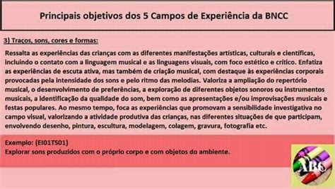 Campos De Atuação Bncc