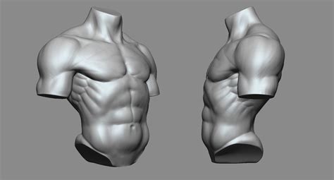 Stl File Torso Reference・3d Printable Model To Download・cults