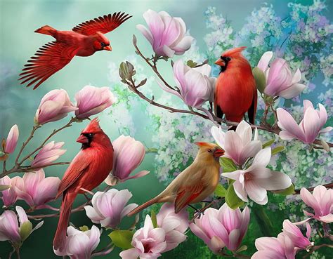 Four Birds In Flowers Cardinals Art Magnolia Four Gathering