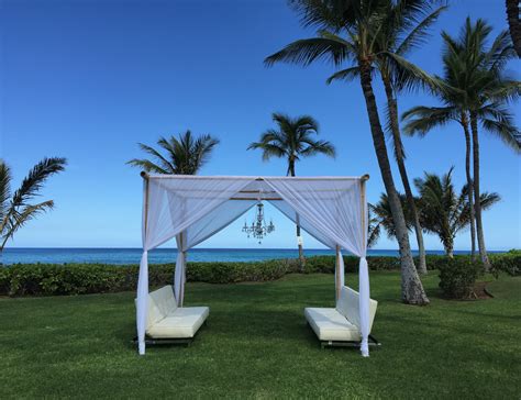 Choose from contactless same day delivery, drive up and more. 10'X10' Bamboo dining canopy with white sheer draping and ...