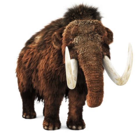 Mammoth Definition And Meaning Collins English Dictionary