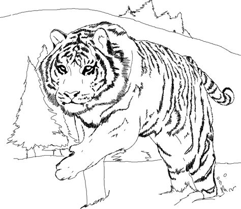 Free Printable Tiger Coloring Pages For Kids