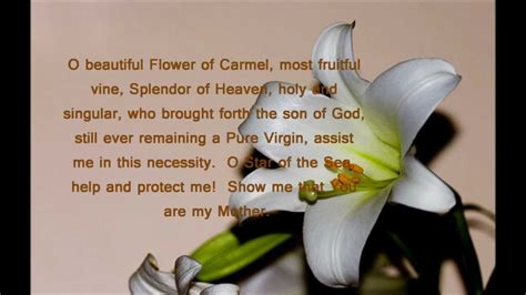 Flos Carmeli Flower Of Carmel Youtube