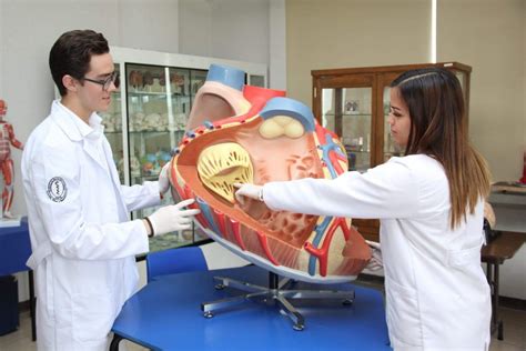 Licenciatura En Médico Cirujano Universidad Urse Oaxaca