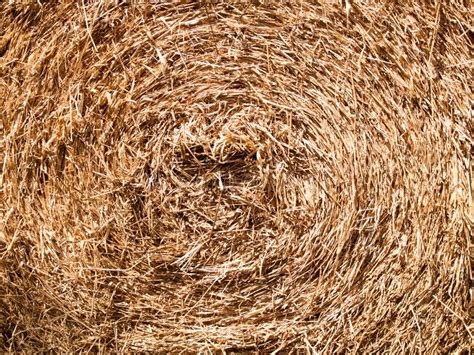 Texture Of Hay Dry Leaves That Is Circle Use For Backgrounds Images