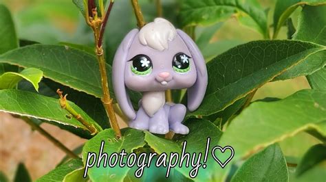 Photography Contest Entry Juju B Lps♡ Youtube