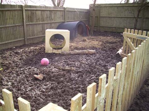 The mineral content of drinking water varied. Pig pen Rhett would love this | Pot belly pigs, Mini pigs, Pig