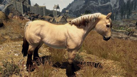 Realistic Primitive Horse Breeds 2k At Skyrim Nexus Mods And