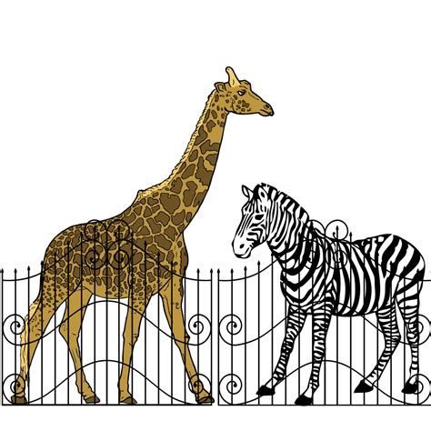 Zoo Animals Png Svg Clip Art For Web Download Clip Art Png Icon Arts