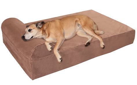 Best Orthopedic Dog Beds For Large Dogs Herepup
