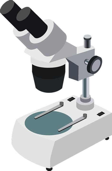Free Vector Graphic Microscope Science Magnify Free Image On