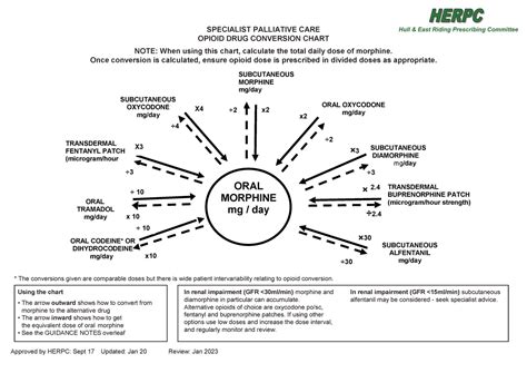 Opioids Testinggg Specialist Palliative Care Opioid Drug Conversion