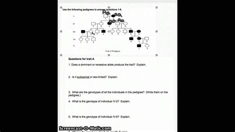 Which members of the family above are . Genetics Pedigree Worksheet Answer Key - worksheet