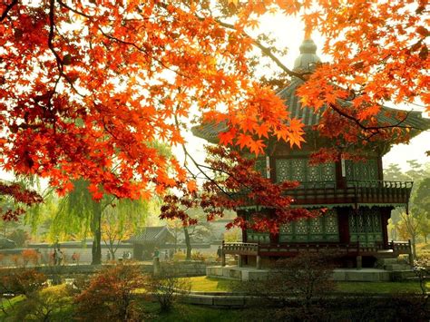 Seoul South Korea Wallpapers Wallpaper Cave