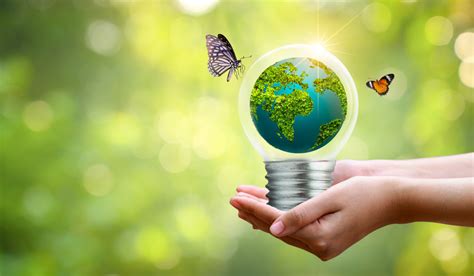 Día Mundial Del Ahorro De Energía Hábitos Y Datos Interesantes Para