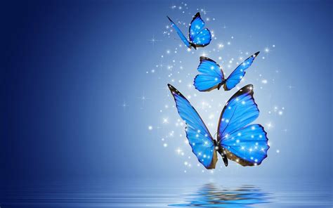Butterfly Wallpaper ·① Download Free Beautiful Full Hd Wallpapers For