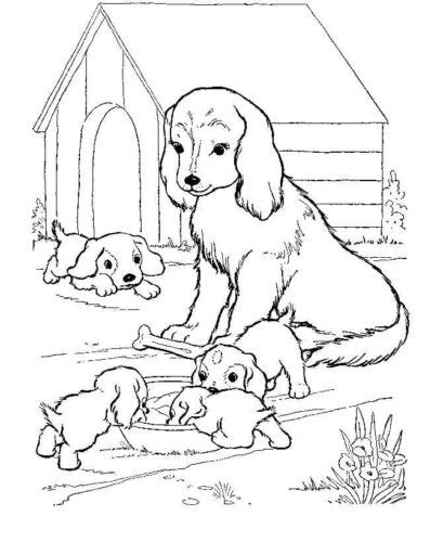 Kennel Dogs Coloring Pages Turkau