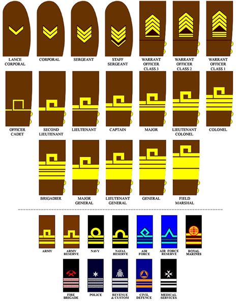 √ What Are The Ranks In The Army Reserves Navy Docs