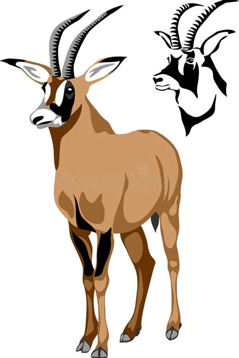 Roan Antelope Stock Illustrations 5 Roan Antelope Stock Illustrations