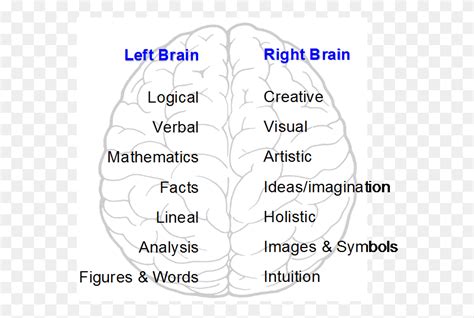 Are You Right Brained Left Brained Take The Brain Test Left And Right