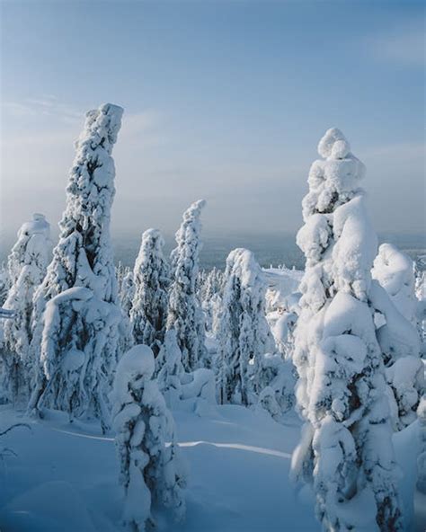 Finland Winter Android Wallpapers Wallpaper Cave